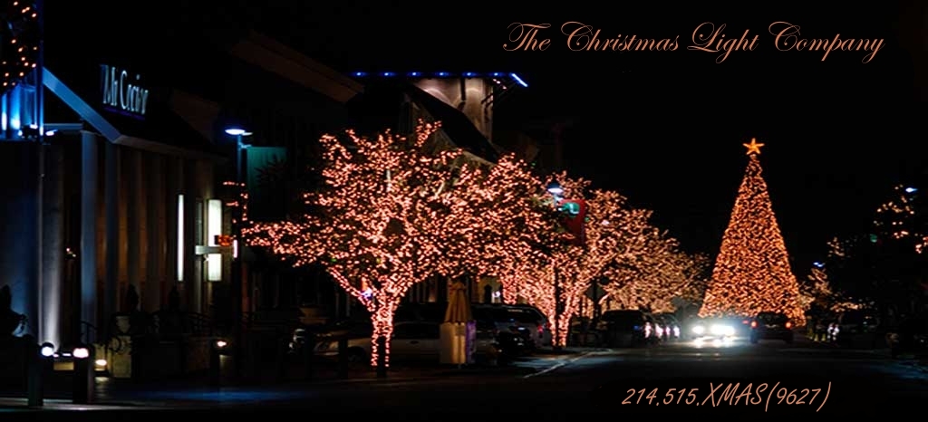 Welcome to the Premier Christmas Lighting Service and Sales Company